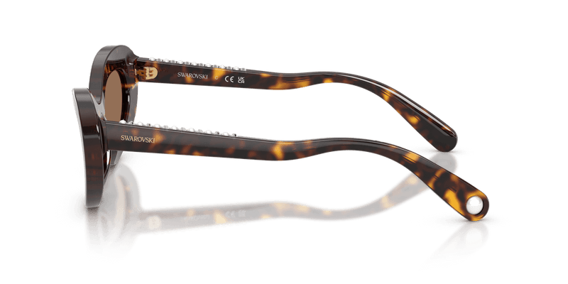 Swarovski SK6061U in Havana / Dark Brown (100273) - Alternate View