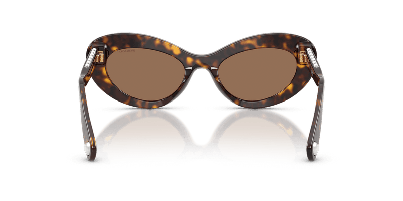 Swarovski SK6061U in Havana / Dark Brown (100273) - Alternate View