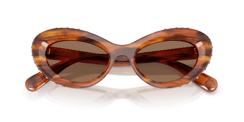 Swarovski SK6061U in Striped Havana / Dark Brown (109173) - Alternate View