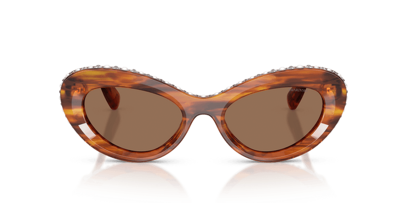 Swarovski SK6061U in Striped Havana / Dark Brown (109173) - Alternate View