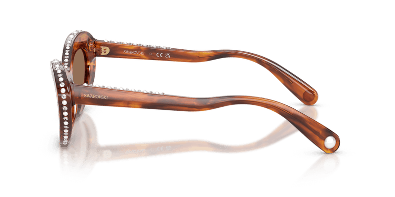 Swarovski SK6061U in Striped Havana / Dark Brown (109173) - Alternate View