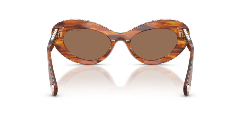 Swarovski SK6061U in Striped Havana / Dark Brown (109173) - Alternate View