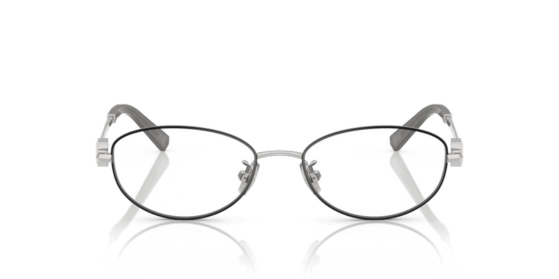 Tiffany & Co. TF1162TD in Black On Silver (6001) - Back View