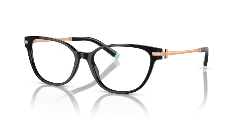 Tiffany & Co. TF2223B in Black (8001) - Alternate View