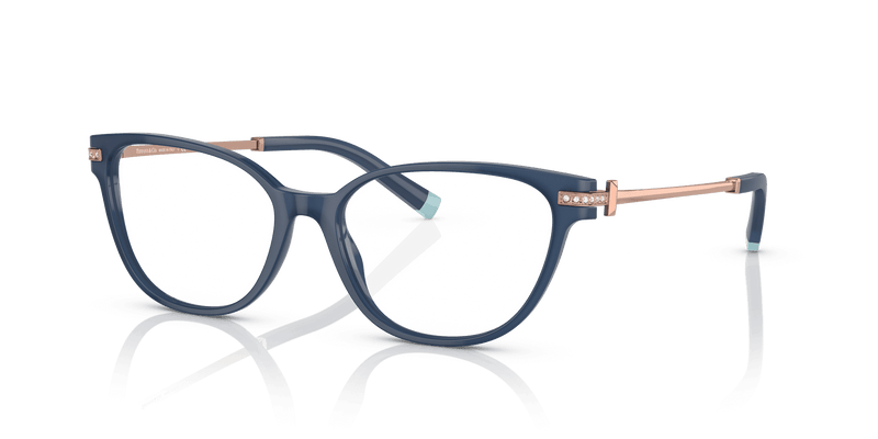 Tiffany & Co. TF2223B in Opal Blue (8315) - Alternate View