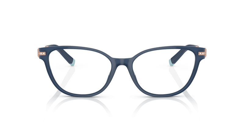 Tiffany & Co. TF2223B in Opal Blue (8315) - Alternate View