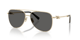Pale Gold / Dark Grey (6021S4)