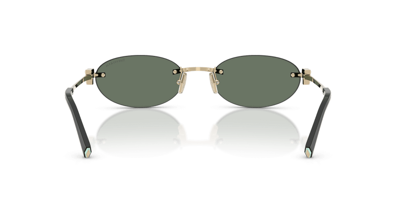 Tiffany & Co. TF3119D in Pale Gold / Dark Green (623882) - Alternate View