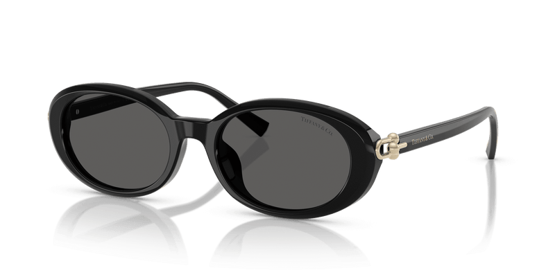 Tiffany & Co. TF4242D in Black / Dark Grey (8361S4) - Front View