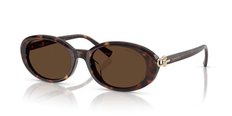 Tiffany & Co. TF4242D in Havana / Light Brown (80153G) - Alternate View