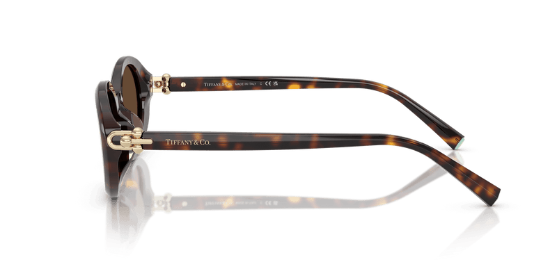 Tiffany & Co. TF4242D in Havana / Light Brown (80153G) - Alternate View