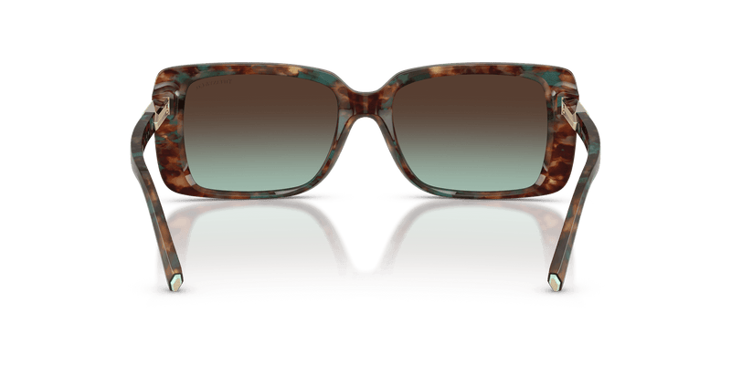Tiffany & Co. TF4249 in Brown Tiffany Havana / Azure Gradient Brown (84425D) - Alternate View