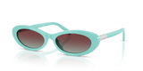 Tiffany Blue / Azure/Burgundy (8388V5)