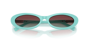 Tiffany Blue / Azure/Burgundy (8388V5)