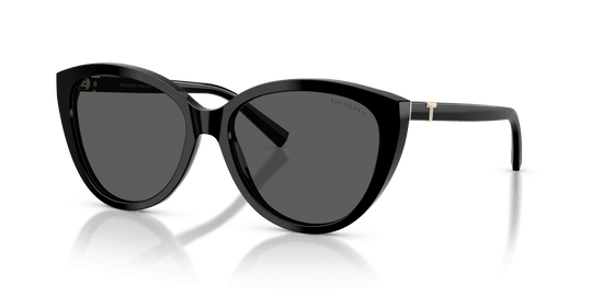 Tiffany & Co. TF4251 - Black / Dark Grey (8001S4)