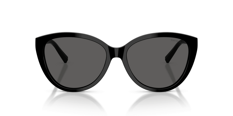 Tiffany & Co. TF4251 in Black / Dark Grey (8001S4) - Back View