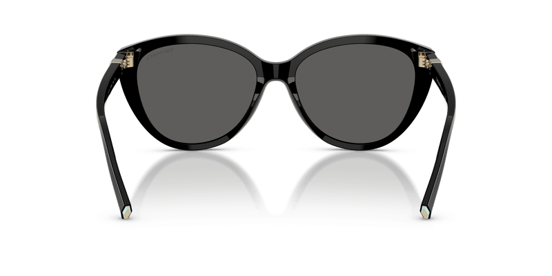 Tiffany & Co. TF4251 in Black / Dark Grey (8001S4) - Alternate View