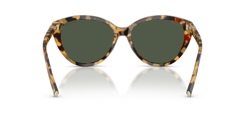 Tiffany & Co. TF4251 in Blonde Havana / Polar Green (80649A) - Alternate View
