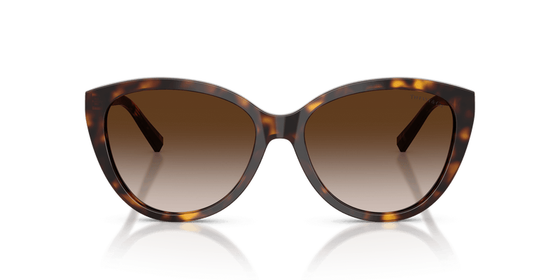 Tiffany & Co. TF4251 in Havana / Brown Gradient (80153B) - Alternate View