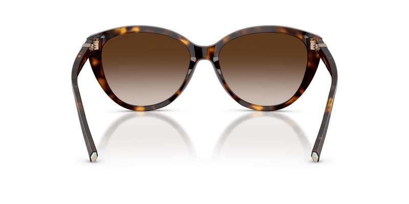 Tiffany & Co. TF4251 in Havana / Brown Gradient (80153B) - Alternate View