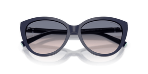 Solid Dark Blue / Light Brown Gradient Blue (839616)