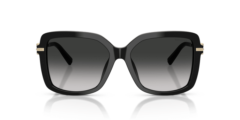Tiffany & Co. TF4252B in Black / Grey Gradient (80013C) - Back View