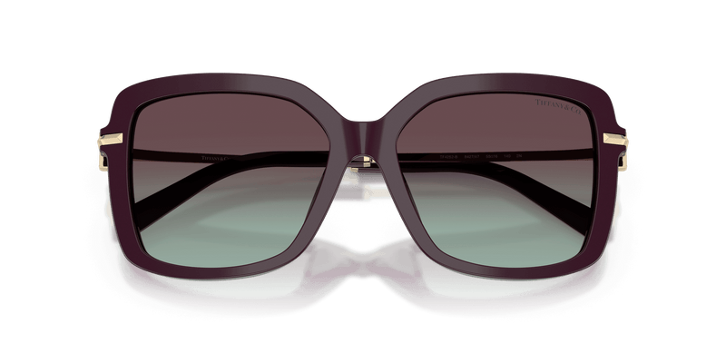 Tiffany & Co. TF4252B in Deep Kunzite / Azure/Violet (8427V7) - Alternate View
