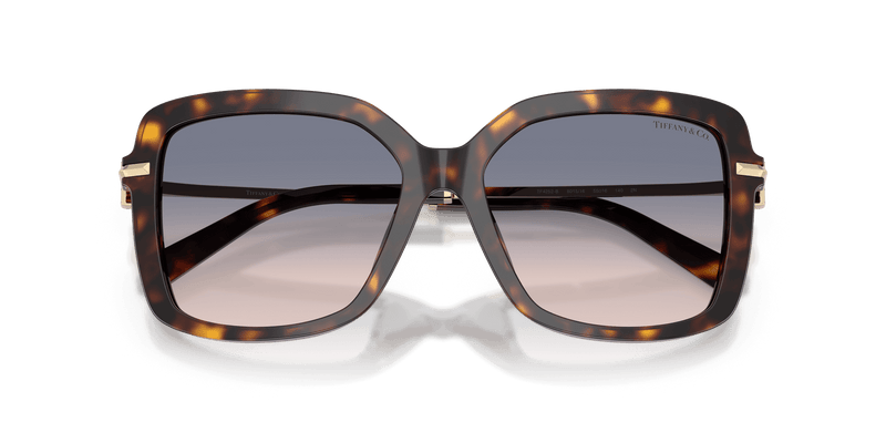 Tiffany & Co. TF4252B in Havana / Light Brown Gradient Blue (801516) - Alternate View
