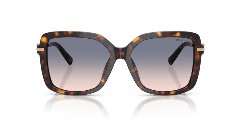 Tiffany & Co. TF4252B in Havana / Light Brown Gradient Blue (801516) - Alternate View
