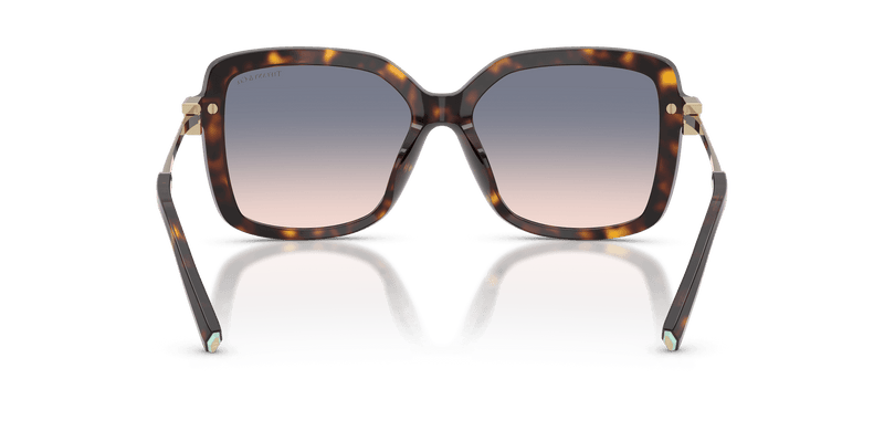 Tiffany & Co. TF4252B in Havana / Light Brown Gradient Blue (801516) - Alternate View