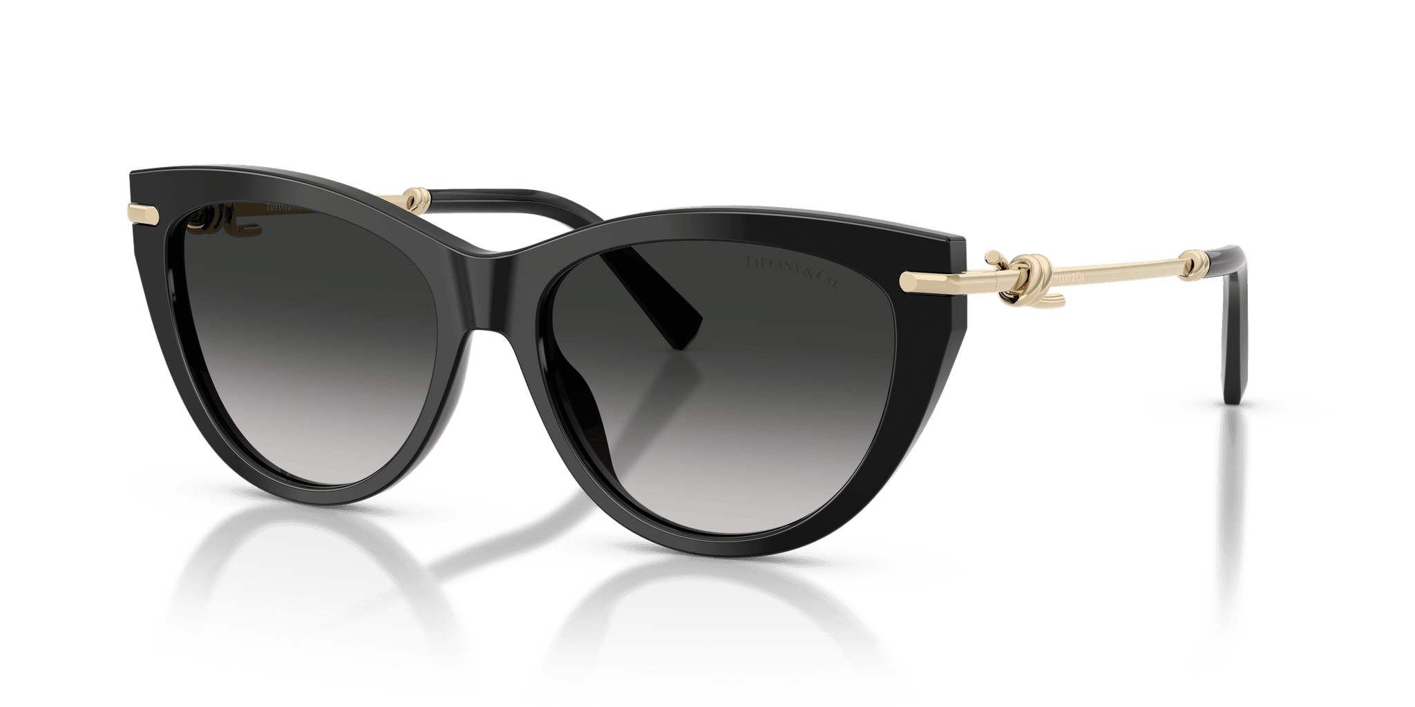 Tiffany & Co. TF4253