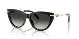 Black / Grey Gradient (80013C)
