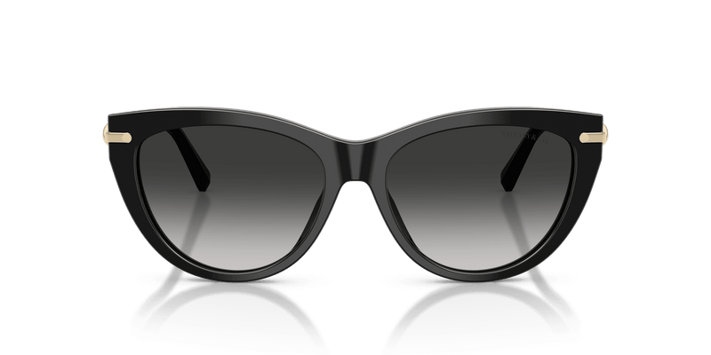 Tiffany & Co. TF4253 in Black / Grey Gradient (80013C) - Front View