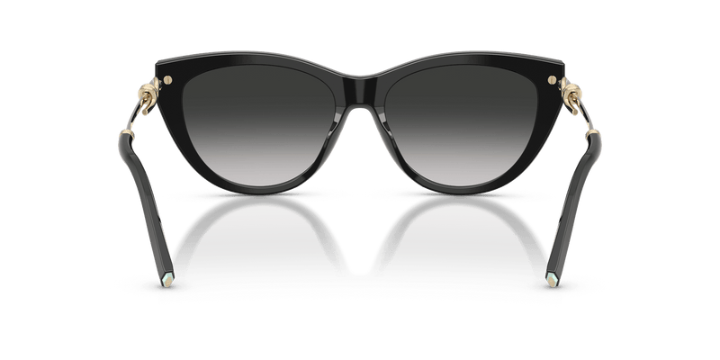 Tiffany & Co. TF4253 in Black / Grey Gradient (80013C) - Front View