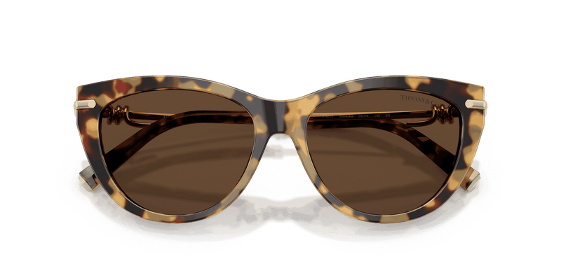 Tiffany & Co. TF4253 in Blonde Havana / Light Brown (80643G) - Front View