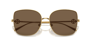 Shiny Gold / Dark Brown (334373)