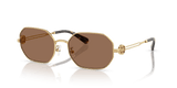 Shiny Gold / Dark Brown (334373)