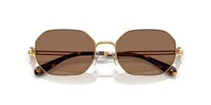 Shiny Gold / Dark Brown (334373)