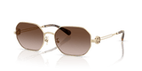 Shiny Light Gold / Brown Gradient (334613)