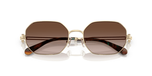 Shiny Light Gold / Brown Gradient (334613)