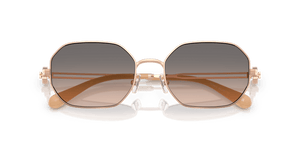 Shiny Light Rose Gold / Light Brown Gradient Grey (3358G9)