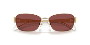 Shiny Light Gold / Dark Violet (334675)