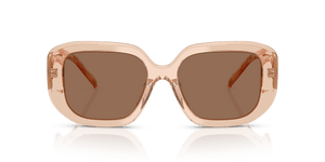 Brown / Brown (195473)