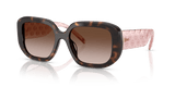 Dark Tortoise / Gradient Brown (196413)