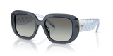 Transparent Blue / Gradient Grey (196311)