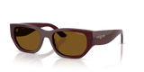 Full Bordeaux / Dark Brown Polarized