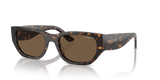 Dark Havana / Dark Brown