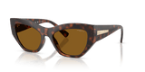 Total Dark Havana / Dark Brown Polarized