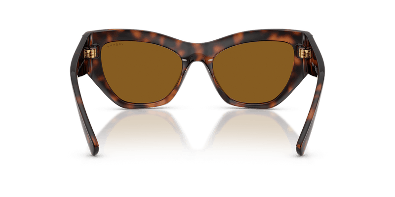Vogue Eyewear VO5607S in Total Dark Havana / Dark Brown Polarized - Back View