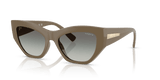 Full Brown / Gradient Dark Grey